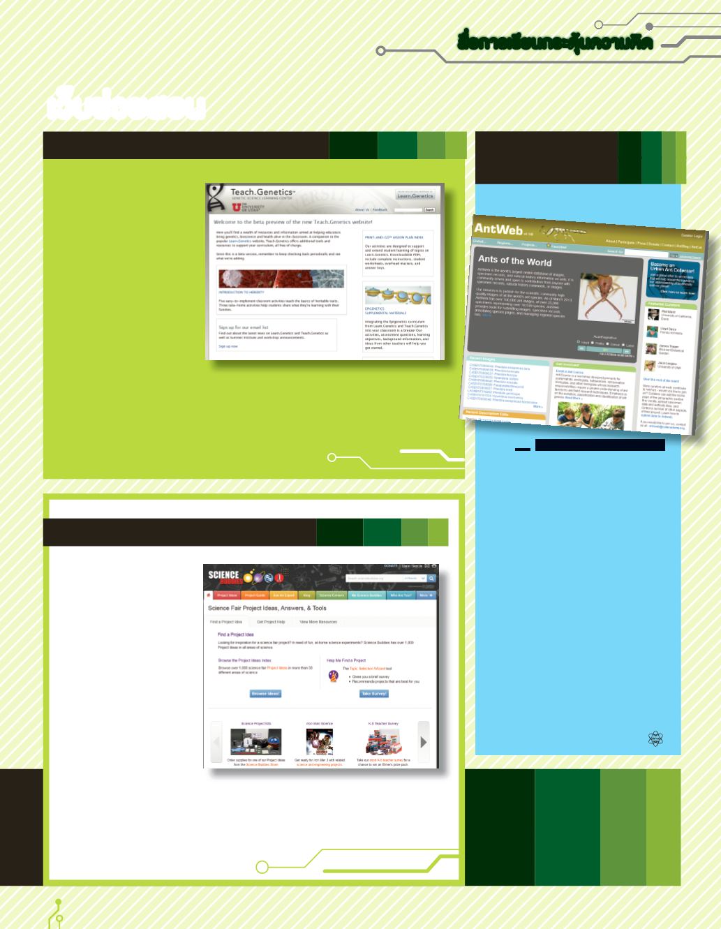 Page Background