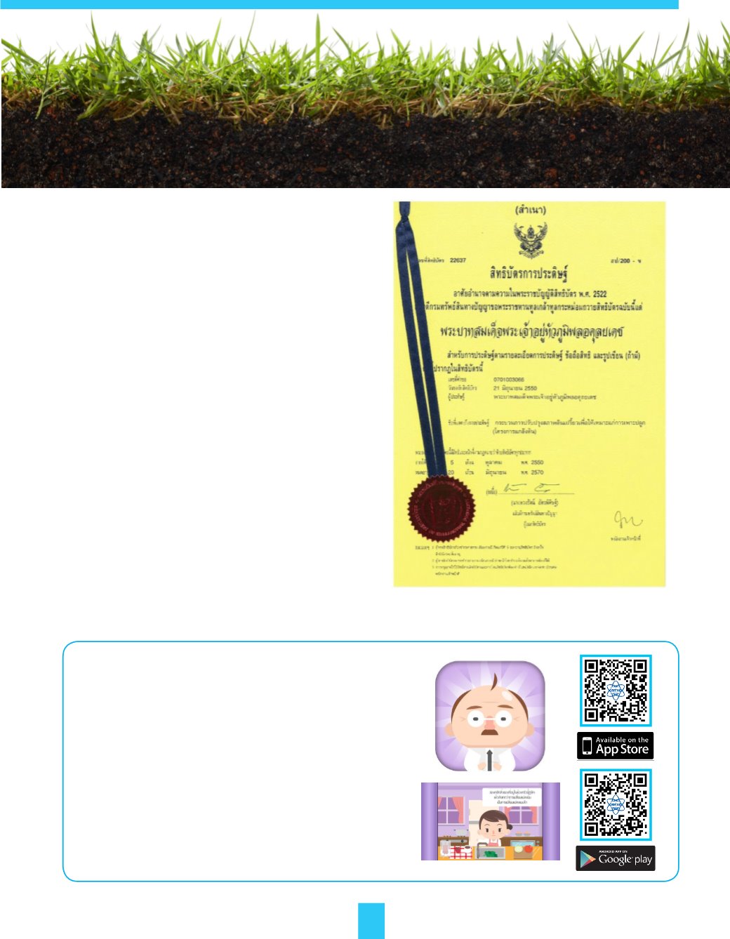 Page Background